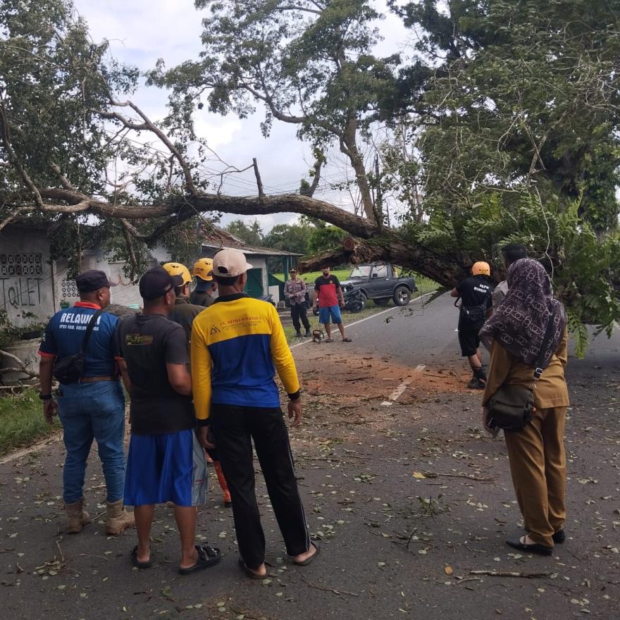 EVAKUASI POHON TUMBANG 